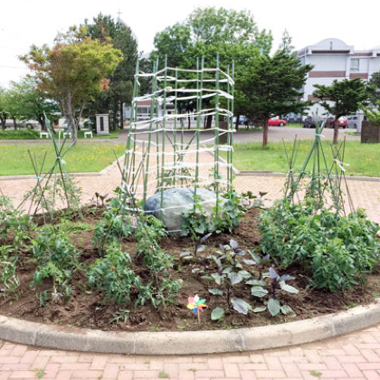 余市の自然を活かしたリハビリ農園